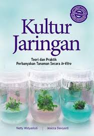 Cover Kultur Jaringan : Teori dan Praktik Perbanyakan Tanaman Secara In-Vitro / Netty Widyastuti