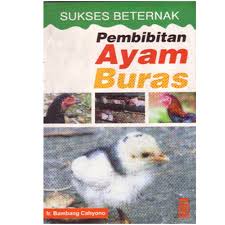 Cover Sukses Beternak Pembibitan Ayam Buras / Cahyono,Bambang