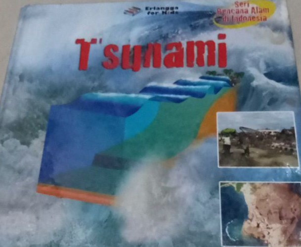 Cover Tsunami :  Lan Alexia