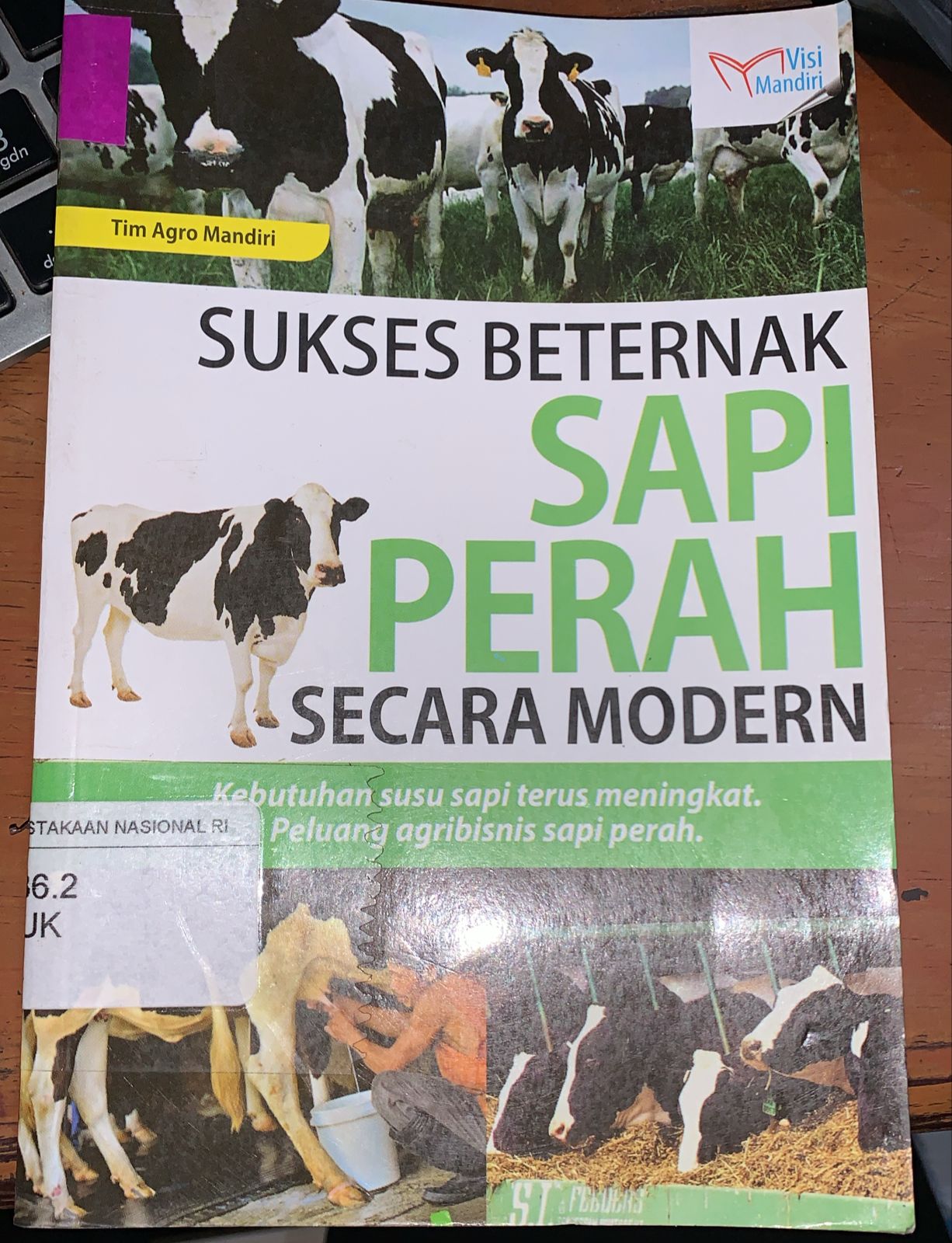 Cover Sukses Beternak Sapi Perah Secara Modern / Tim Agro mandiri