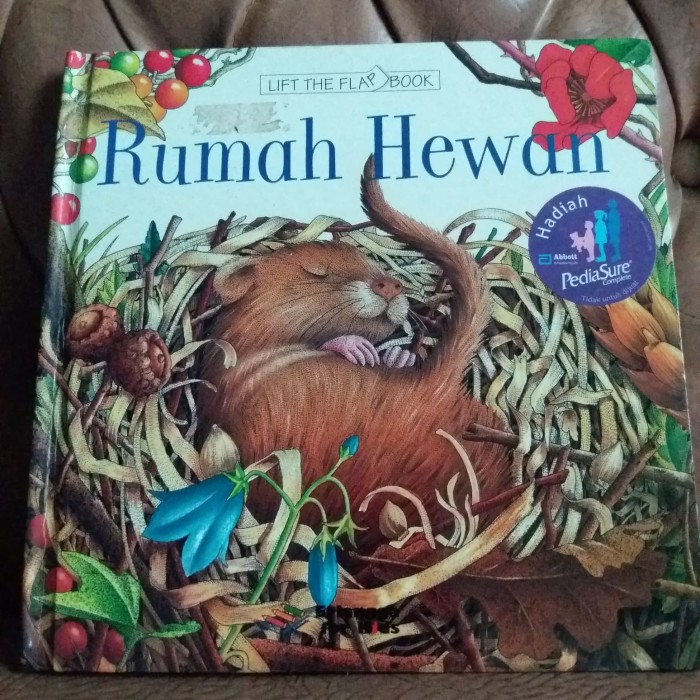 Cover Rumah Hewan :  Lift The Flap Book / Debbie Martin