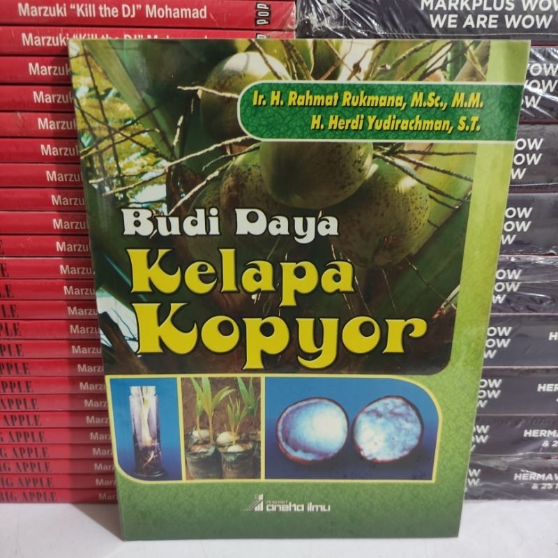 Cover Budi Daya Kelapa Kopyor / Rukmana, Rahmat