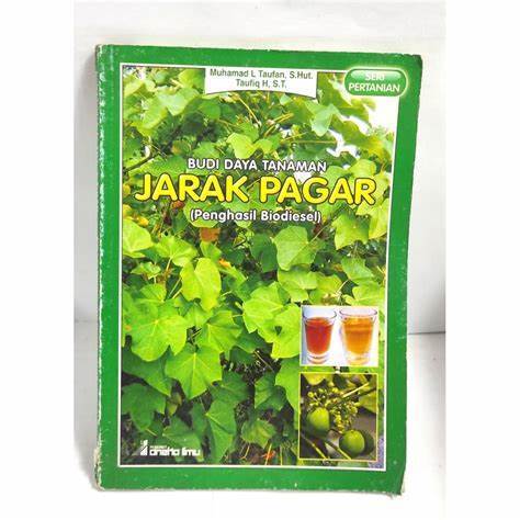 Cover Budidaya Tanaman Jarak Pagar / Muhamad L Taufan