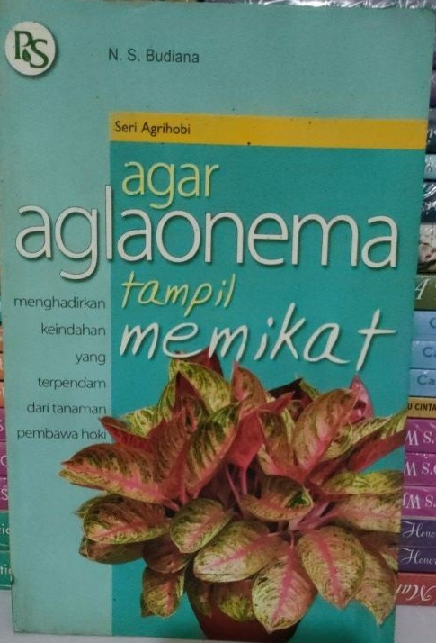 Cover Agar Aglaonema Tampil Memikat / Budiana
