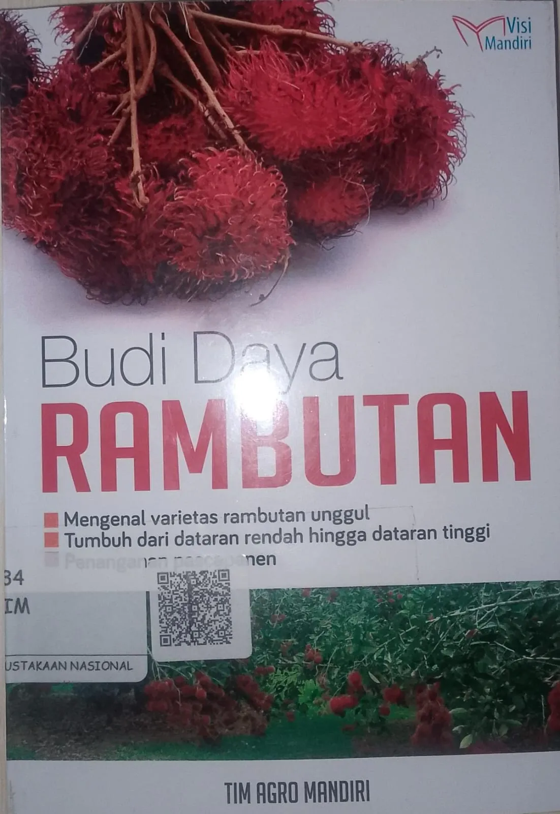 Cover Budi Daya Rambutan Mengenal Varietas Rambutan  Unggul Tumbuh Dari Dataran Rendah Hingga Dataran Tinggi Penanganan Pascapanen / Tim Agro Mandiri