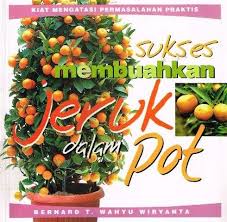 Cover Sukses Membuahkan Jeruk dalam Pot / Wiryanta, Bernard T. Wahyu