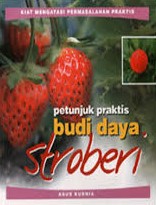 Cover Petunjuk Praktis Budi Daya Stroberi / Kurnia, Agus