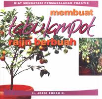 Cover Membuat Tabulampot Rajin Berbuah
