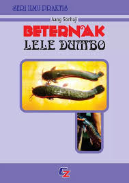 Cover Beternak Lele Dumbo / Sonhaji, Aang