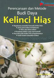 Cover Perencanaan dan Budi Daya :  Kelinci Hias / Lakshita, Nattaya
