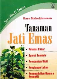 Cover Tanaman Jati Emas / Maheldaswara, Daru