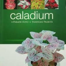 Cover Trubus caladium : Parade Foto, Panduan Praktis