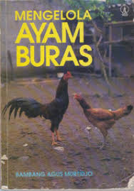 Cover Mengelola Ayam Buras / Murtidjo, Bambang Agus