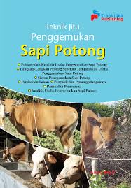 Cover Teknik Jitu Penggemukan :  Sapi Potong / Mifzal, Abiyu