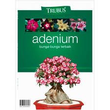 Cover Trubus Adenium :  Bunga - Bunga Terbaik / Redaksi Trubus