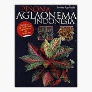 Cover Pesona Aglaonema Indonesia / Redaksi AgroMedia