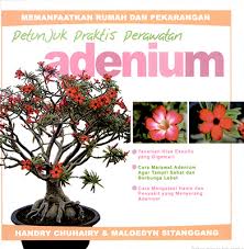 Cover Petunjuk Praktis Perawatan :  Adenium / Chuhairy, Handry