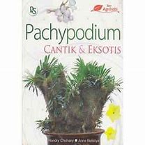 Cover Pachypodium :  Cantik & Eksotis / Chuhairy, Handry