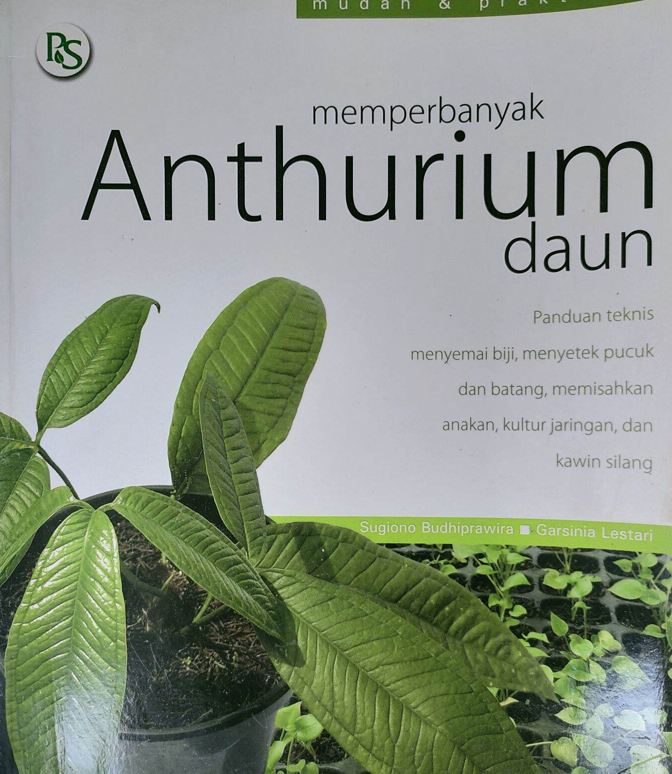 Cover Memperbanyak Anthurium Daun / Budhiprawira, Sugiono