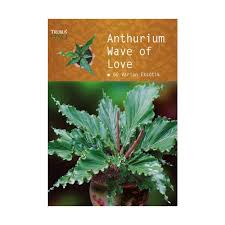 Cover Anthurium Wave of Love :  60 Varian Eksotik / Siswadi