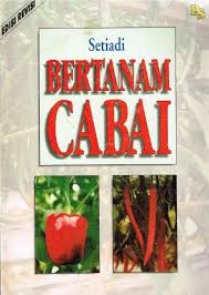 Cover Bertanam Cabai :  Edisi Revisi / Setiadi