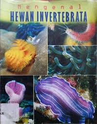 Cover Mengenal Hewan Invertebrata / Madiastutik,Endang Wiwik