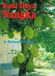 Cover Budi Daya Nangka / Rukmana, Rahmat
