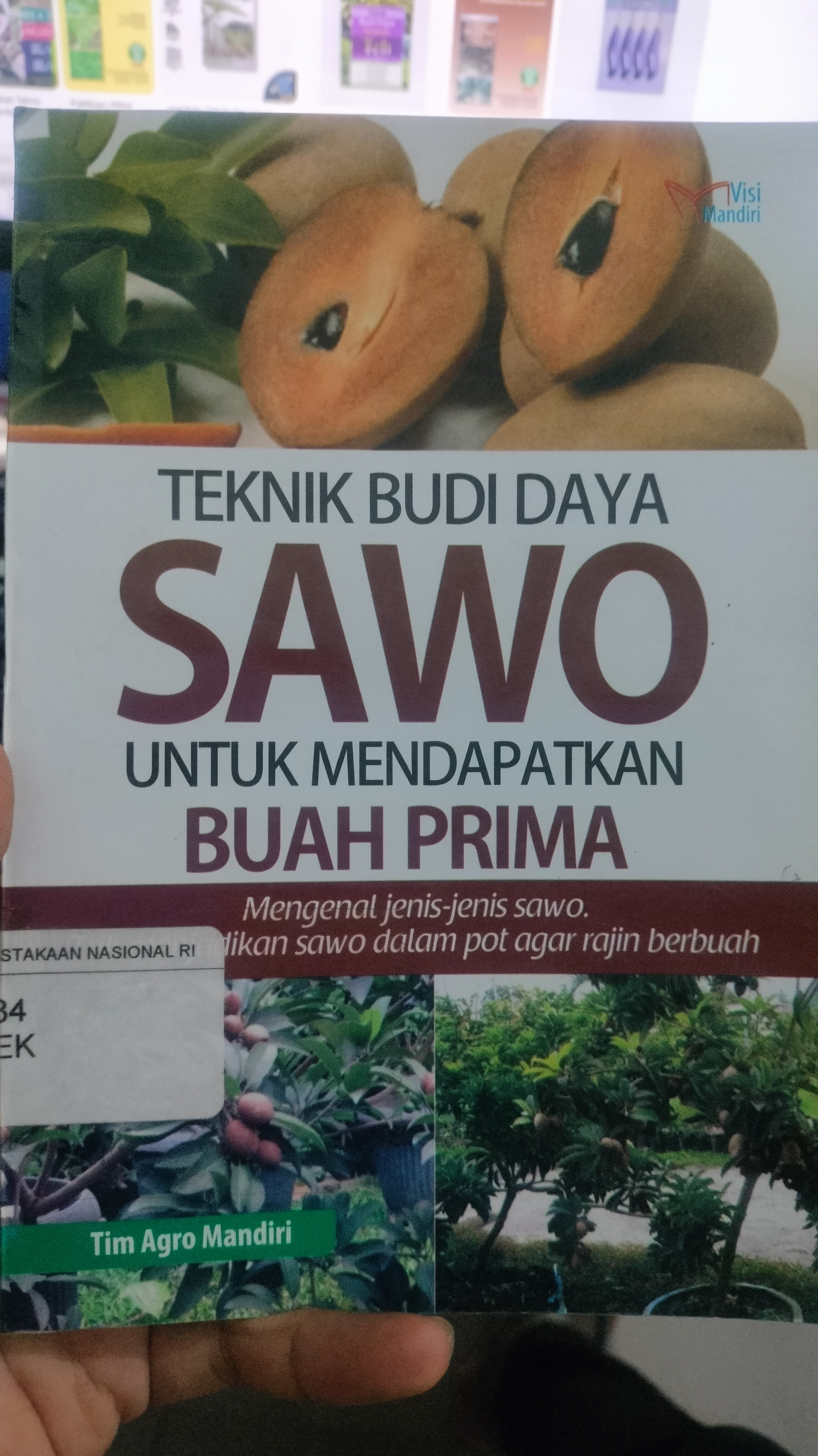 Cover Teknik Budi Daya Sawo Untuk Mendapatkan Buah Prima :  Mengenal Jenis-Jenis Sawo. Trik Menjadikan Sawo Dalam Pot Agar Rajin Berbuah / Mandiri, Tim Agro