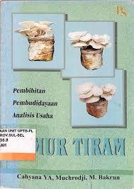 Cover Jamur Tiram :  Pembibitan, Pembudidayaan, Analisis Usaha / Cahyana YA