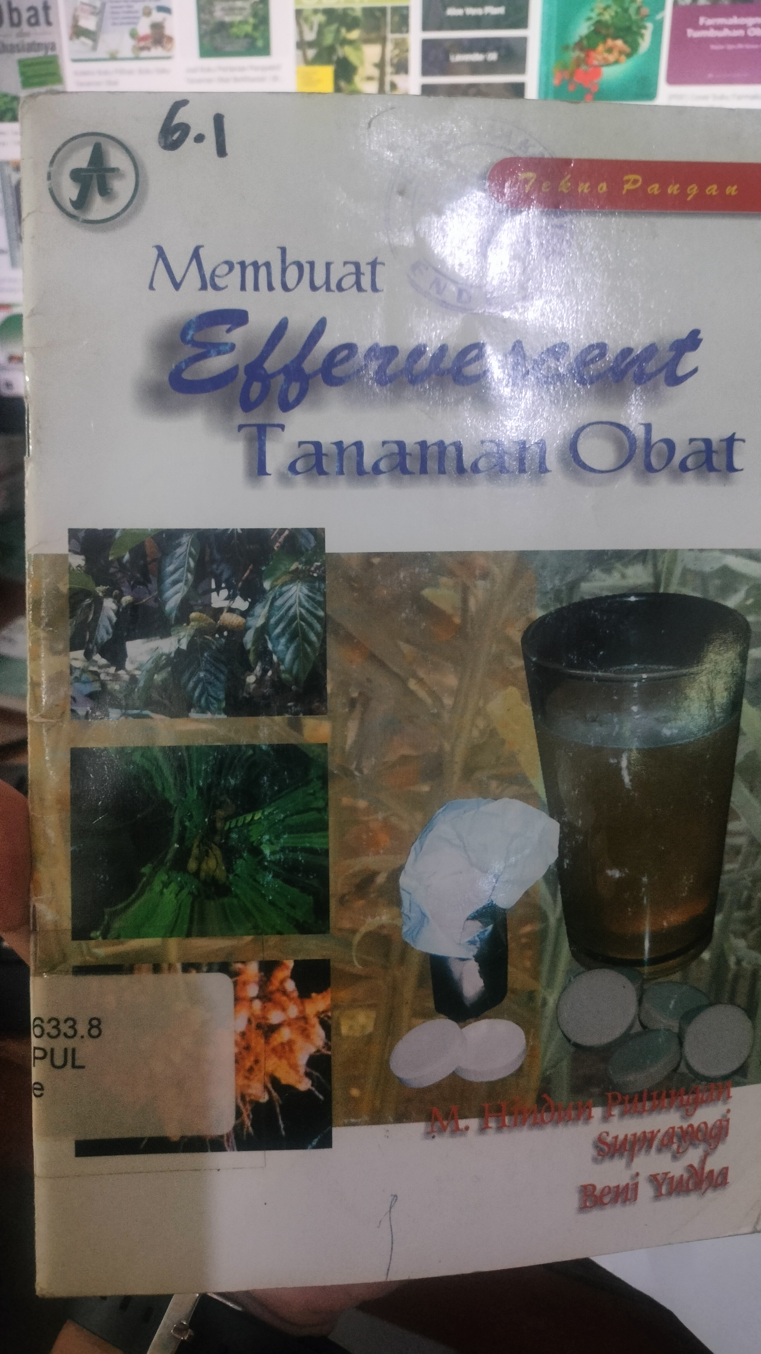 Cover Effervescent Tanaman Obat / Pulungan, Hindun