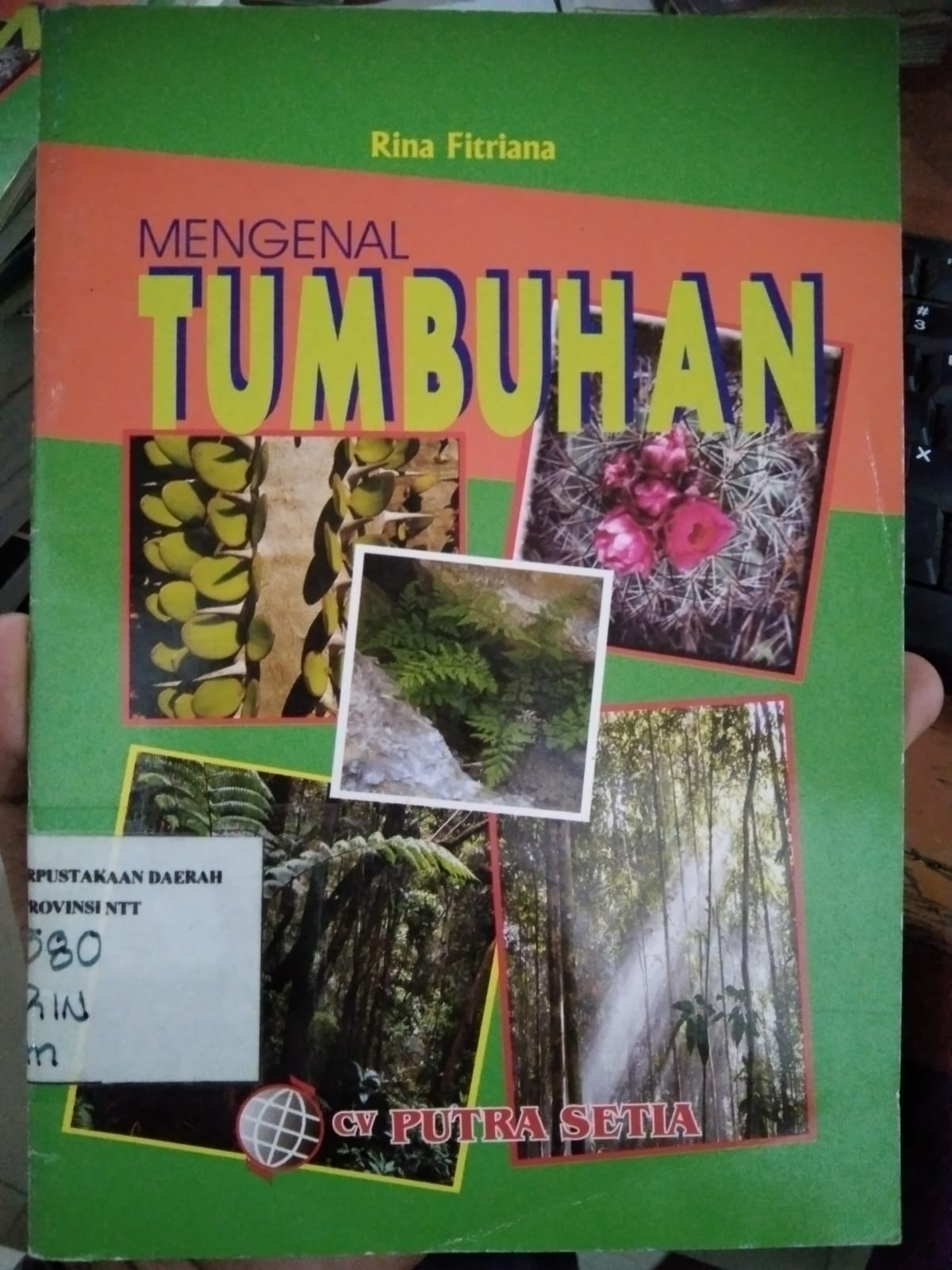 Cover Mengenal Tumbuhan / Rina,Fitriana