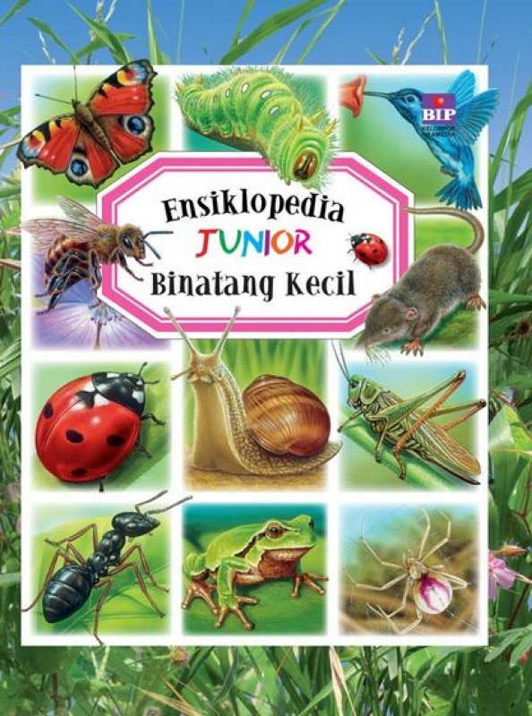Cover Ensiklopedia Junior Binatang Kecil, / Emilie Beaumont