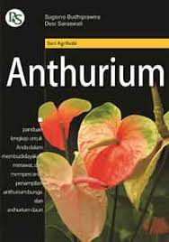 Cover Anthurium / Budhiprawira, Sugiono