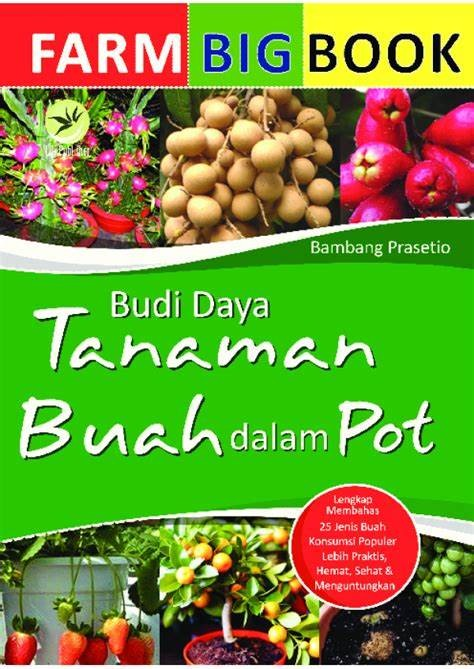 Cover Budi Daya Tanaman Buah Dalam Pot / Bambang, Prasetio