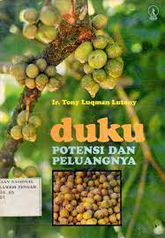 Cover Duku Potensi dan Peluangnya / Lutony, Tony Luqman