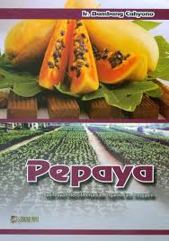 Cover Pepaya : Budidaya Daya Intensif Pertanian Organik Dan Anorganik / Bambang Cahyono