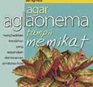 Cover Agar Aglaonema Tampil Memikat / Budiana