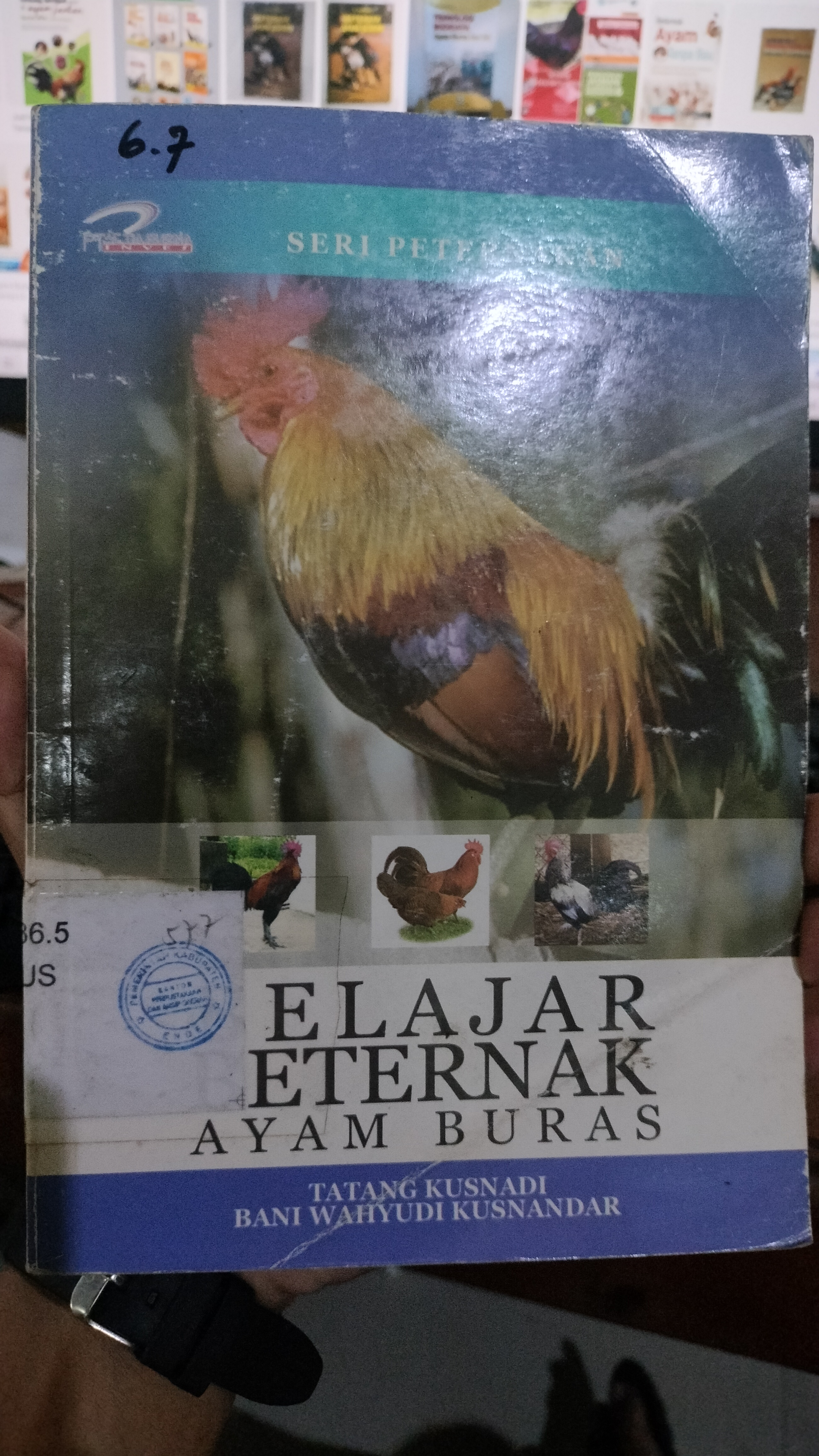 Cover Belajar Beternak Ayam Buras / Kusnadi,Tatang