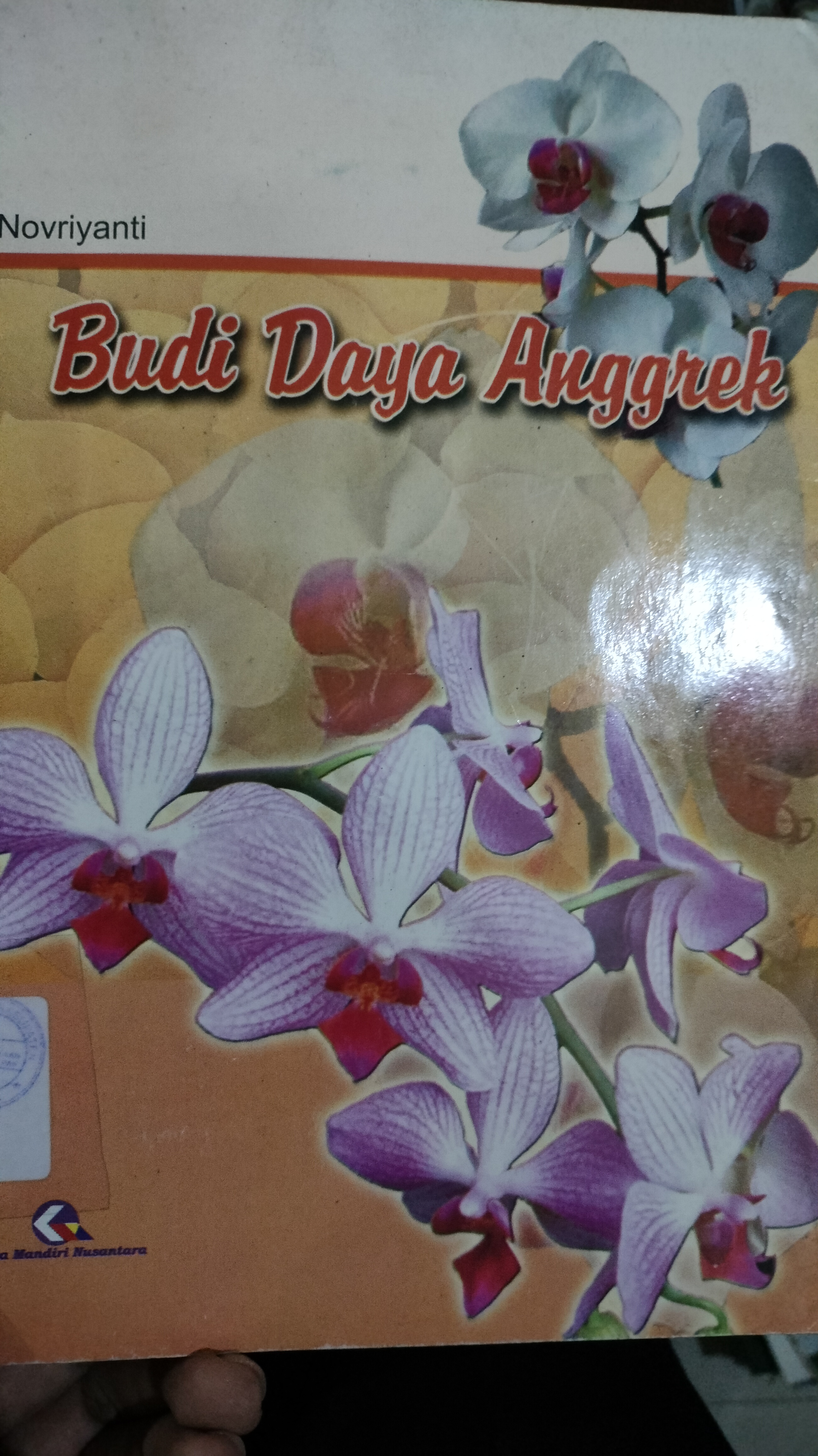 Cover Budi Daya Anggrek / Novriyanti