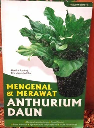 Cover Mengenal & Merawat Anthurium Daun / Tanjung, Hendra
