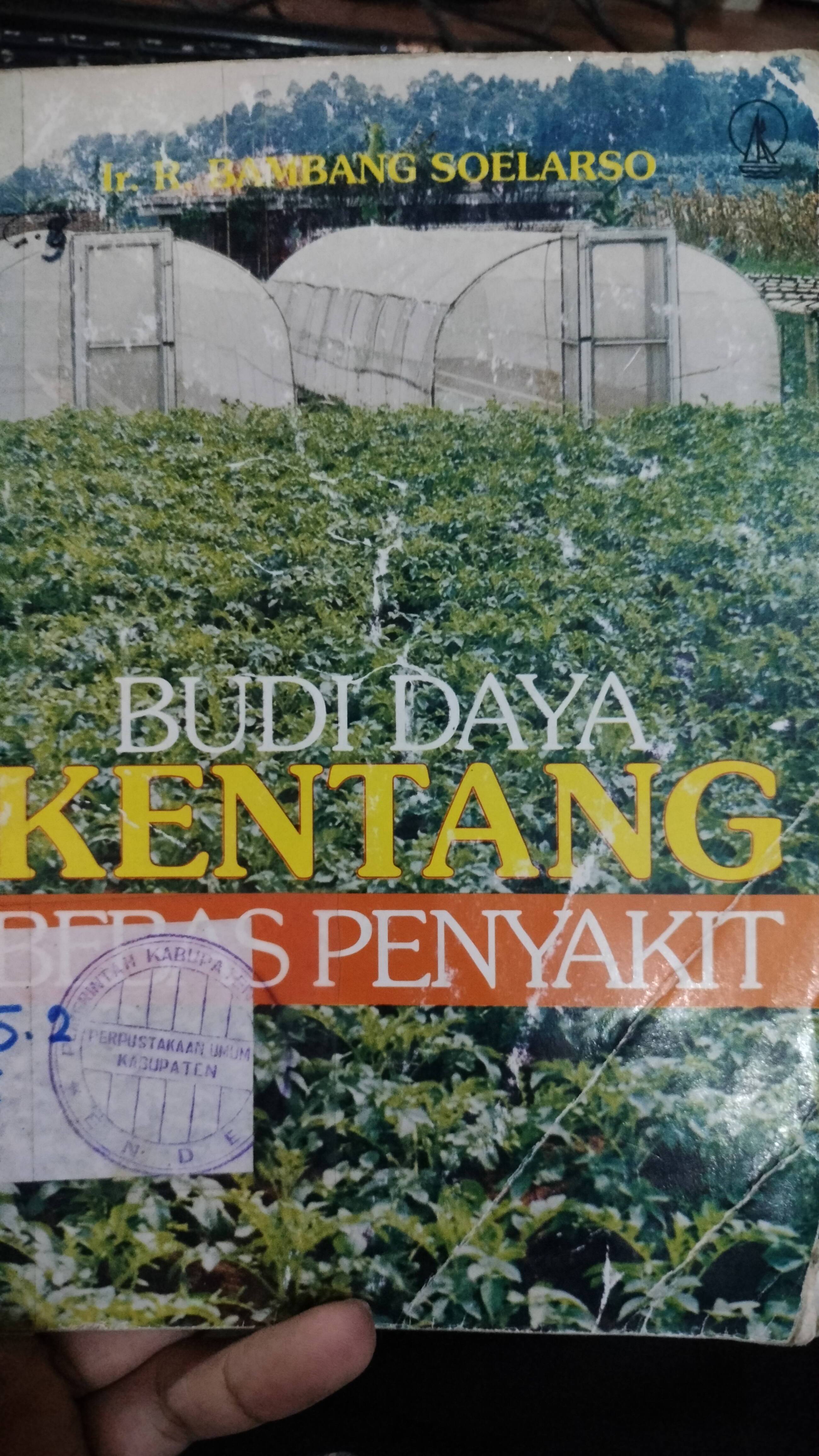 Cover Budi Daya Kentang Bebas Penyakit / Soelarso, Bambang