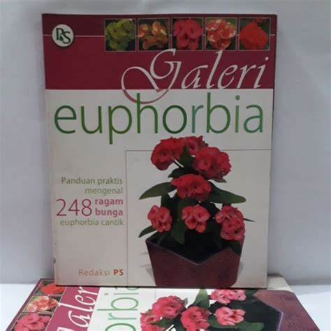 Cover Galeri Euphorbia / Redaksi PS