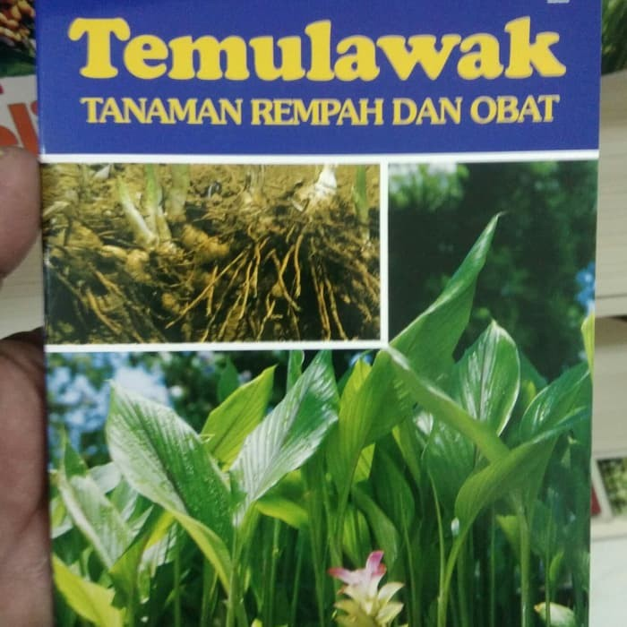Cover Temulawak Tanaman Rempah dan Obat / Rukmana, Rahmat