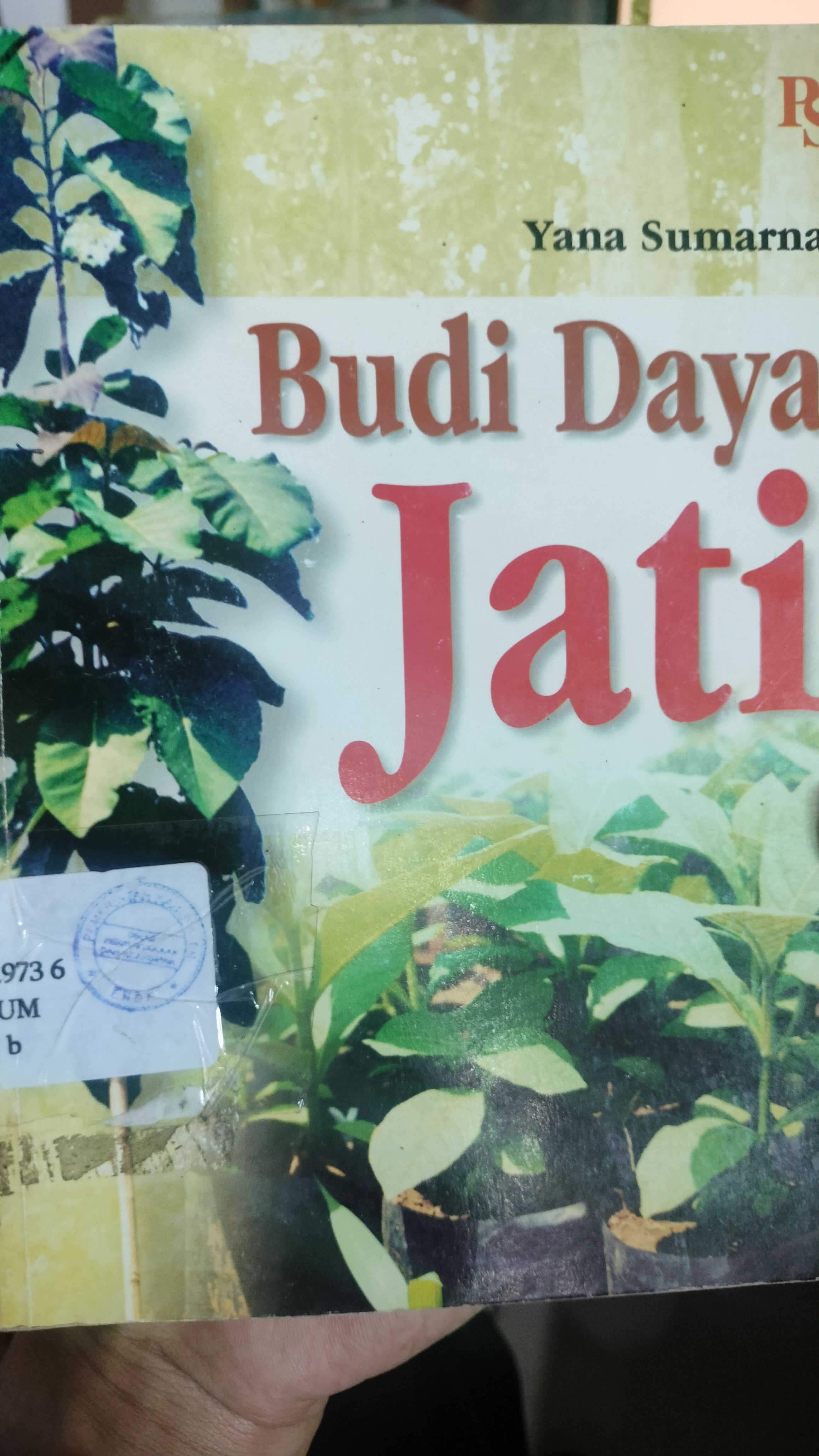 Cover Budi Daya Jati / Sumarna, Yana