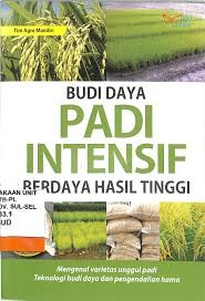 Cover Budi Daya Padi Intensif Berdaya hasil Tinggi