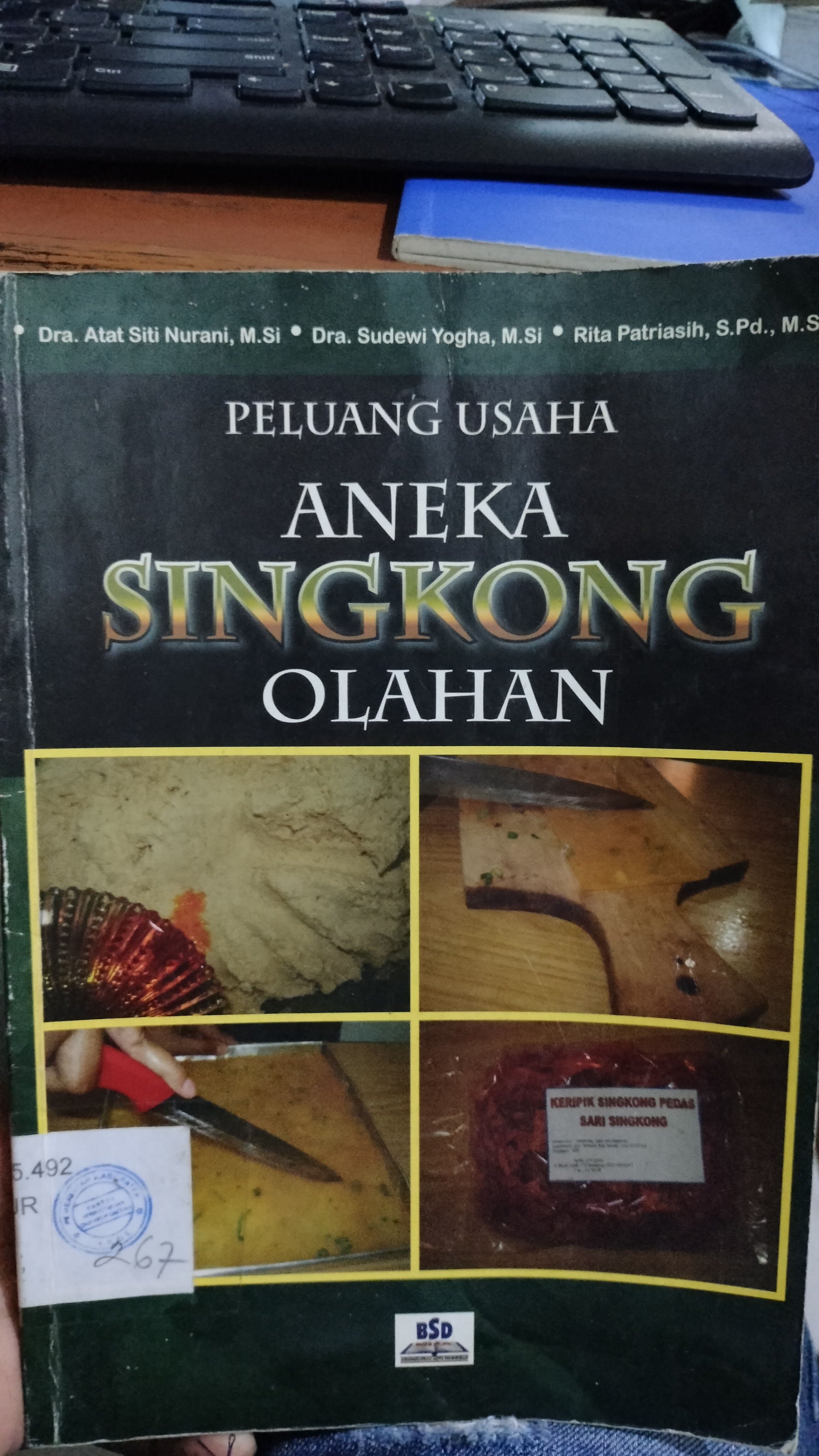 Cover Peluang Usaha Aneka Singkong Olahan / Nurani, Atat Siti