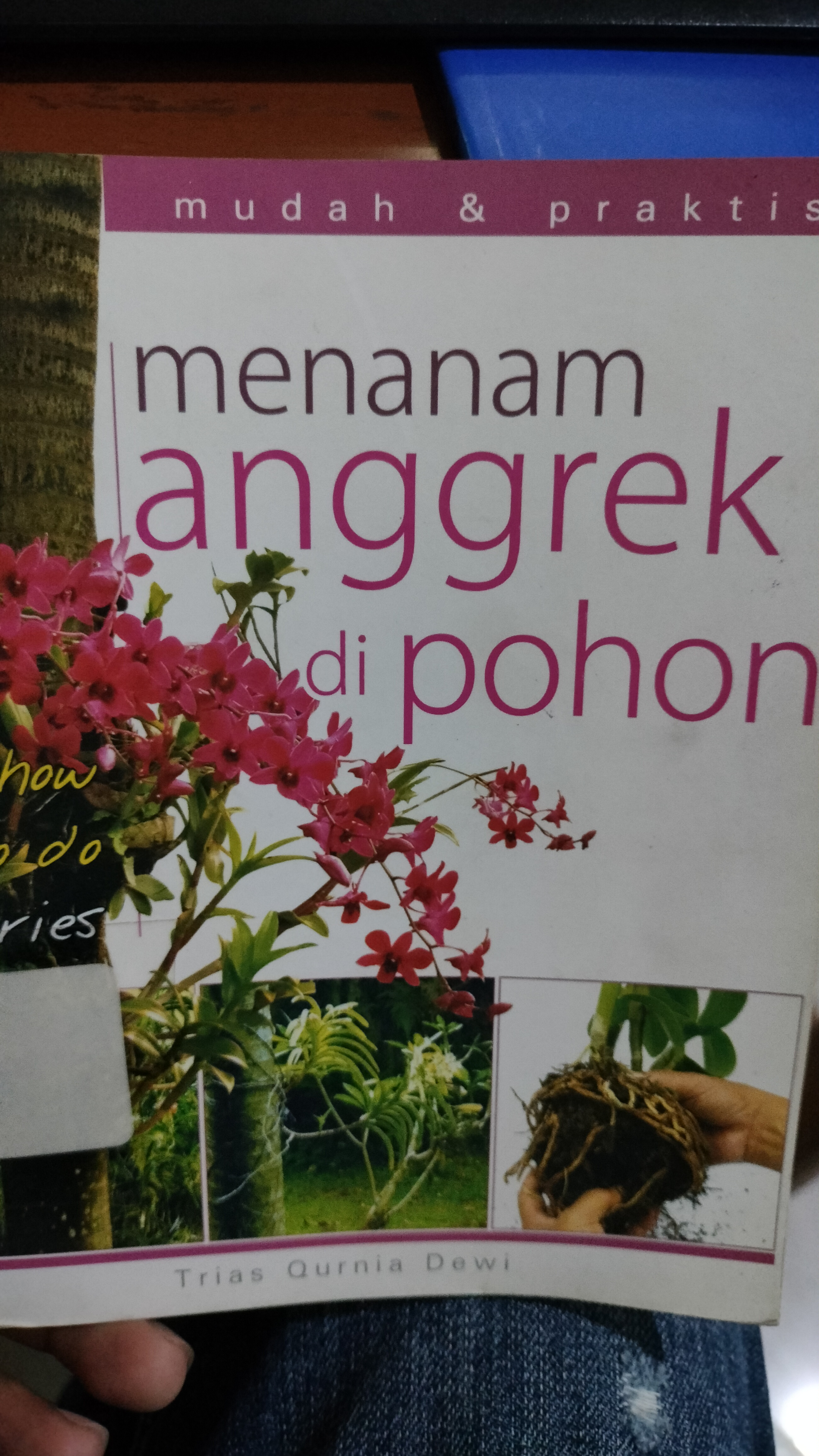 Cover Menanam Anggrek di Pohon / Dewi, Trias Qurnia