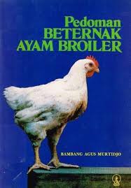 Cover Pedoman Beternak Ayam Broiler / Bambang Agus Murtidjo