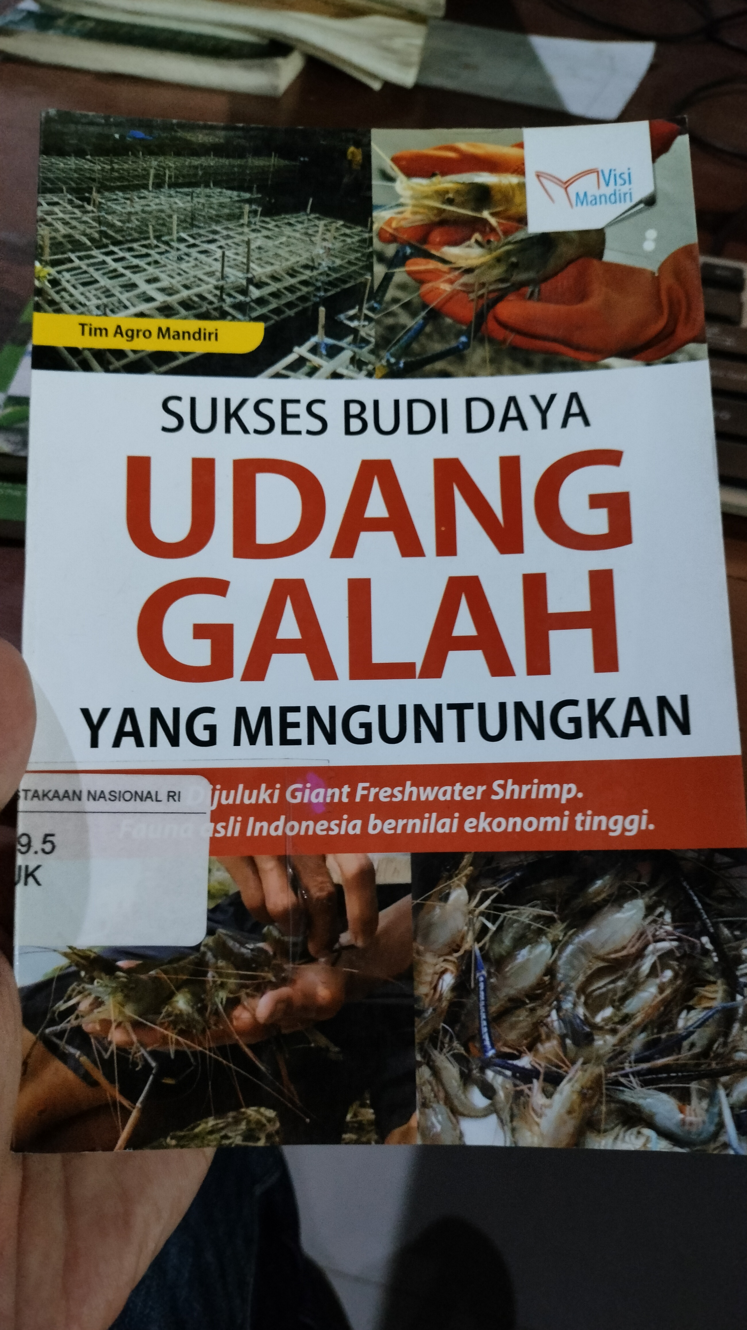 Cover Sukses Budi Daya Udang Galah yang Menguntungkan / Tim agro Mandiri