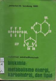 Cover Biokimia :  Metabolisme Energi, Karbohidrat dan Lipid :  Wirahadikusumah, Muhamad